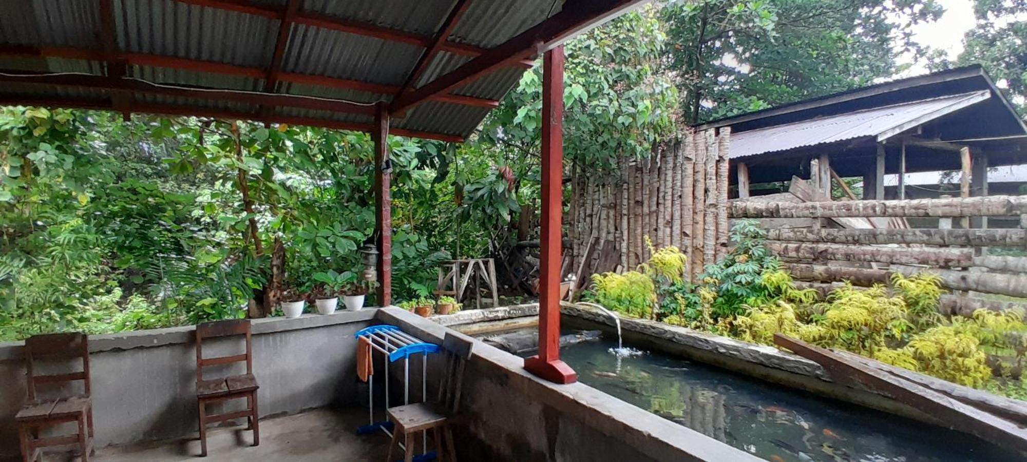 Renny'S Tangkoko Safety Stop Bitung Eksteriør bilde